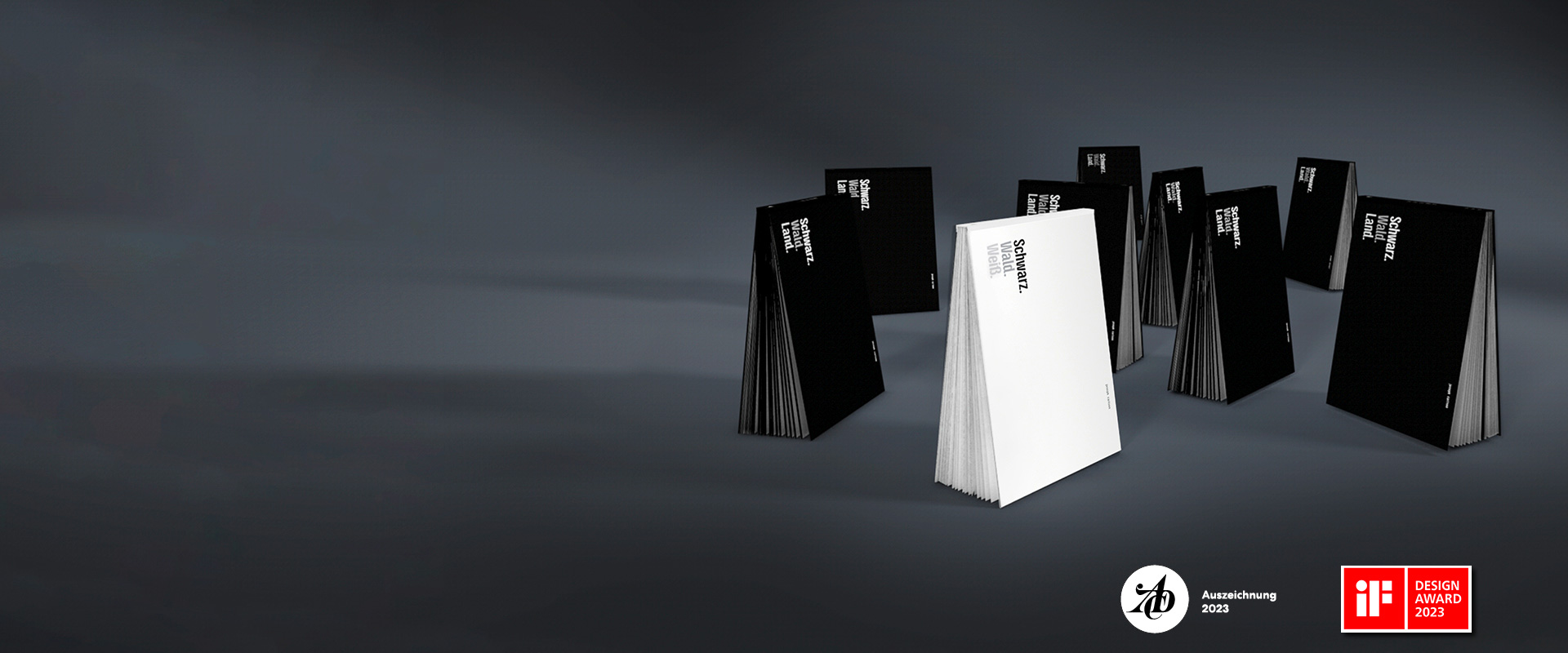 Die weißen Seiten<br> des Schwarzwalds